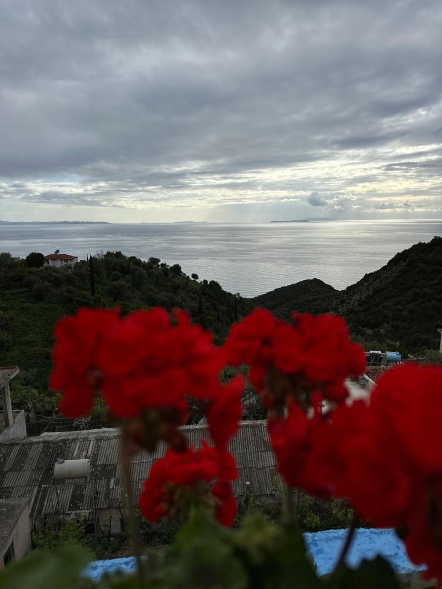 Selami Sea View Apartments ลูโคเวอ ภายนอก รูปภาพ