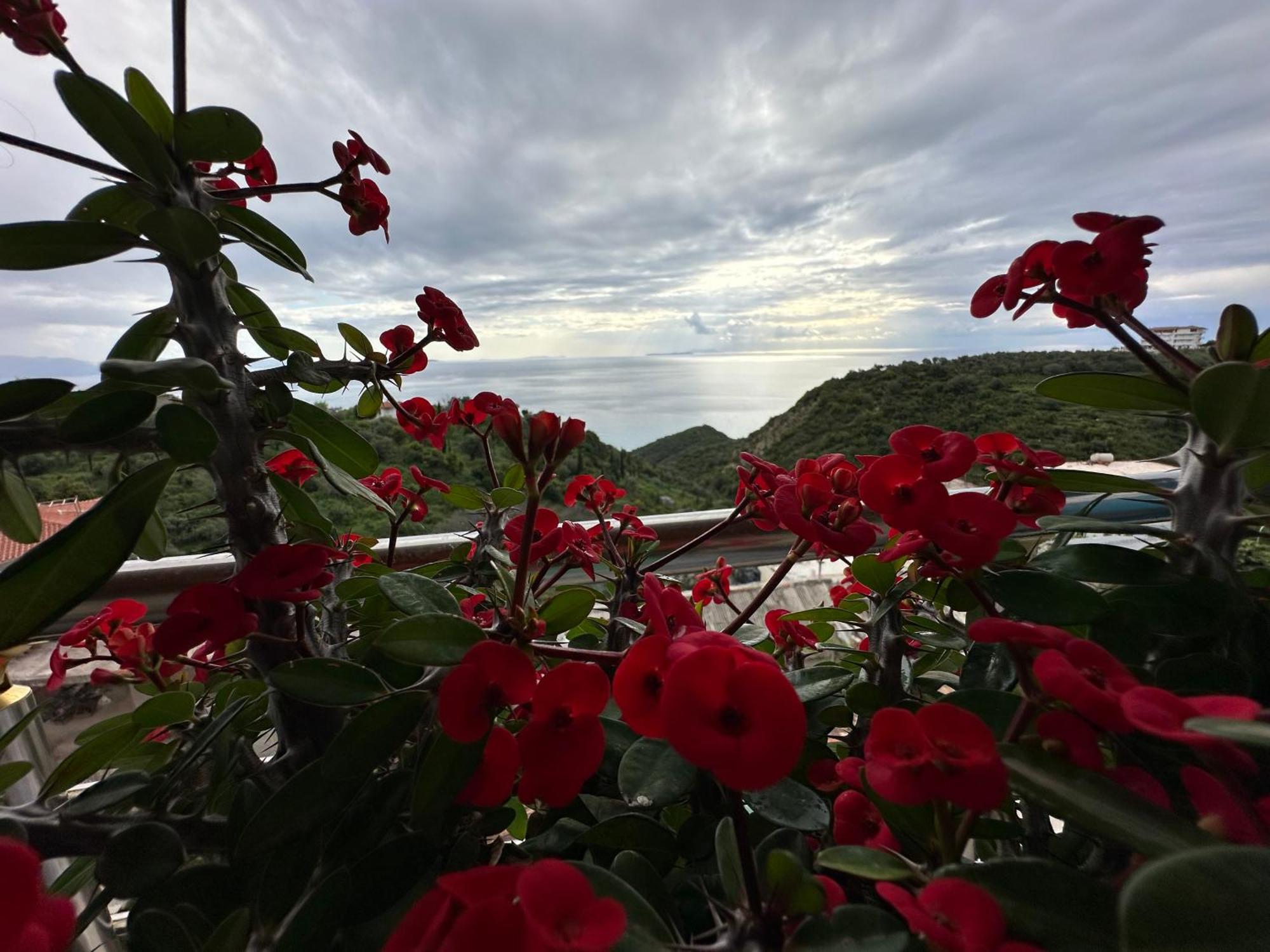 Selami Sea View Apartments ลูโคเวอ ภายนอก รูปภาพ