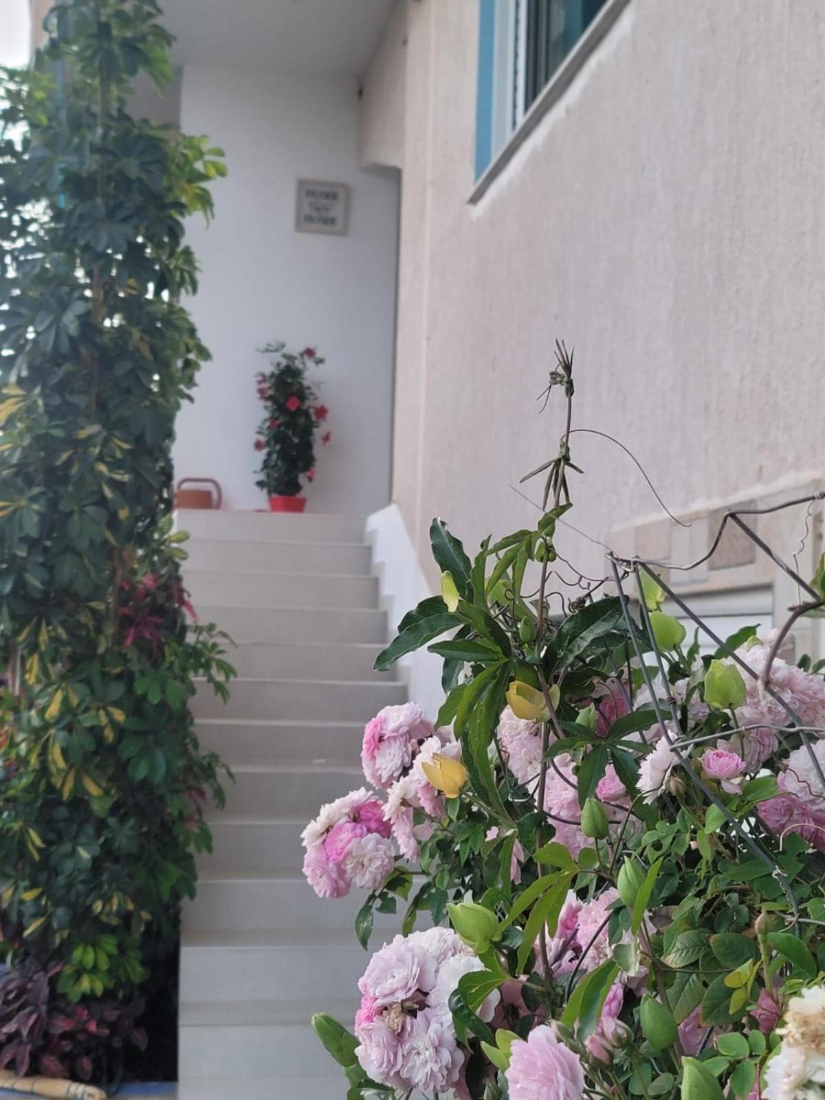 Selami Sea View Apartments ลูโคเวอ ภายนอก รูปภาพ